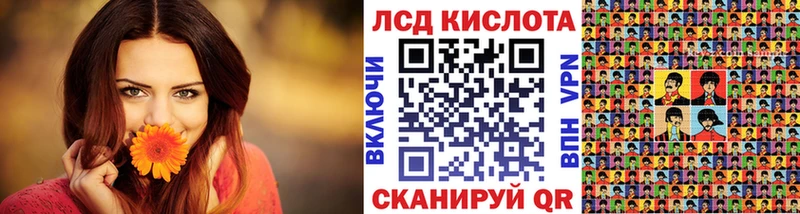 kraken как войти  закладки  Унеча  Наркотические марки 1,8мг 