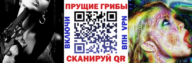 Псилоцибиновые грибы мухоморы  MEGA вход  Унеча  наркота 