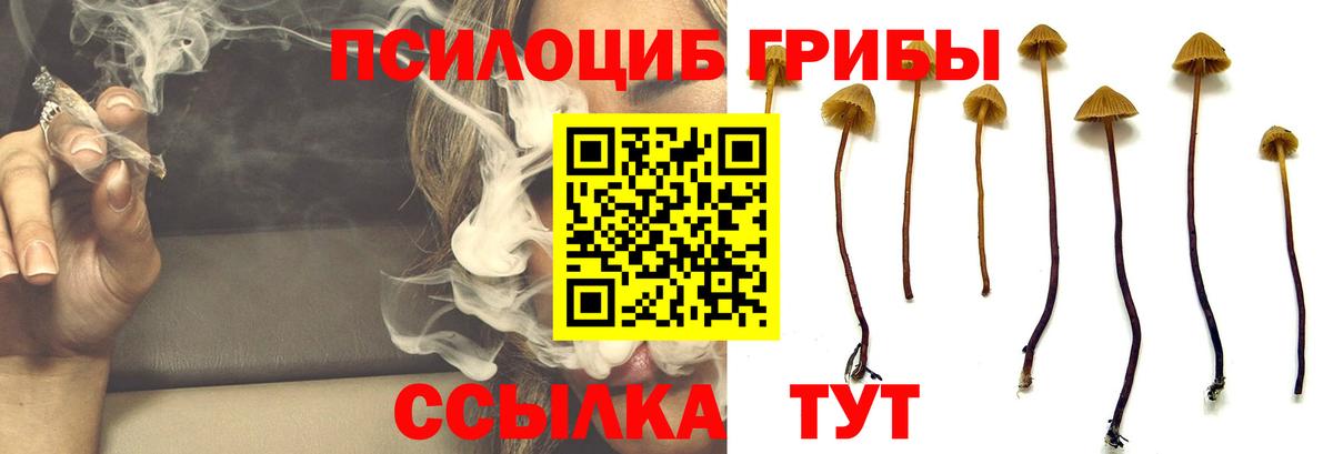Унеча  Галлюциногенные грибы мицелий  Вход с VPN  Псилоцибиновые грибы GOLDEN TEACHER 